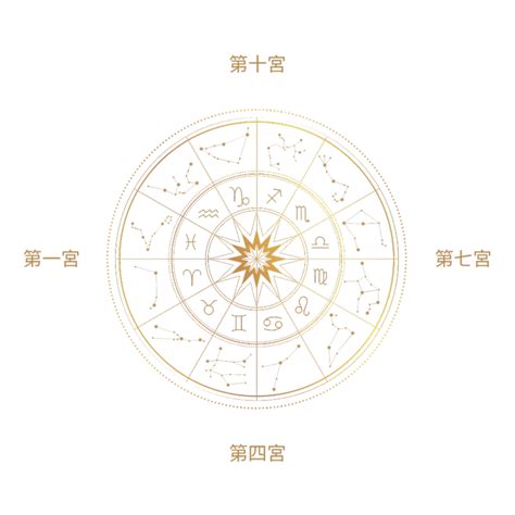 飛星 意思|十二宮位的飛星專論